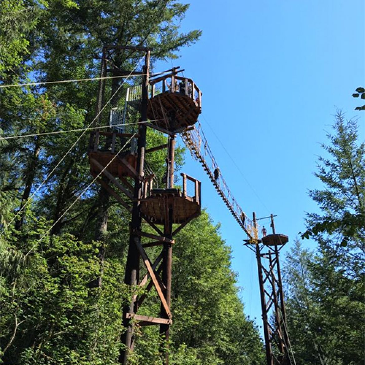 Zipline_X_Things_To_Do_Before_You_Go_Zip_Lining_4