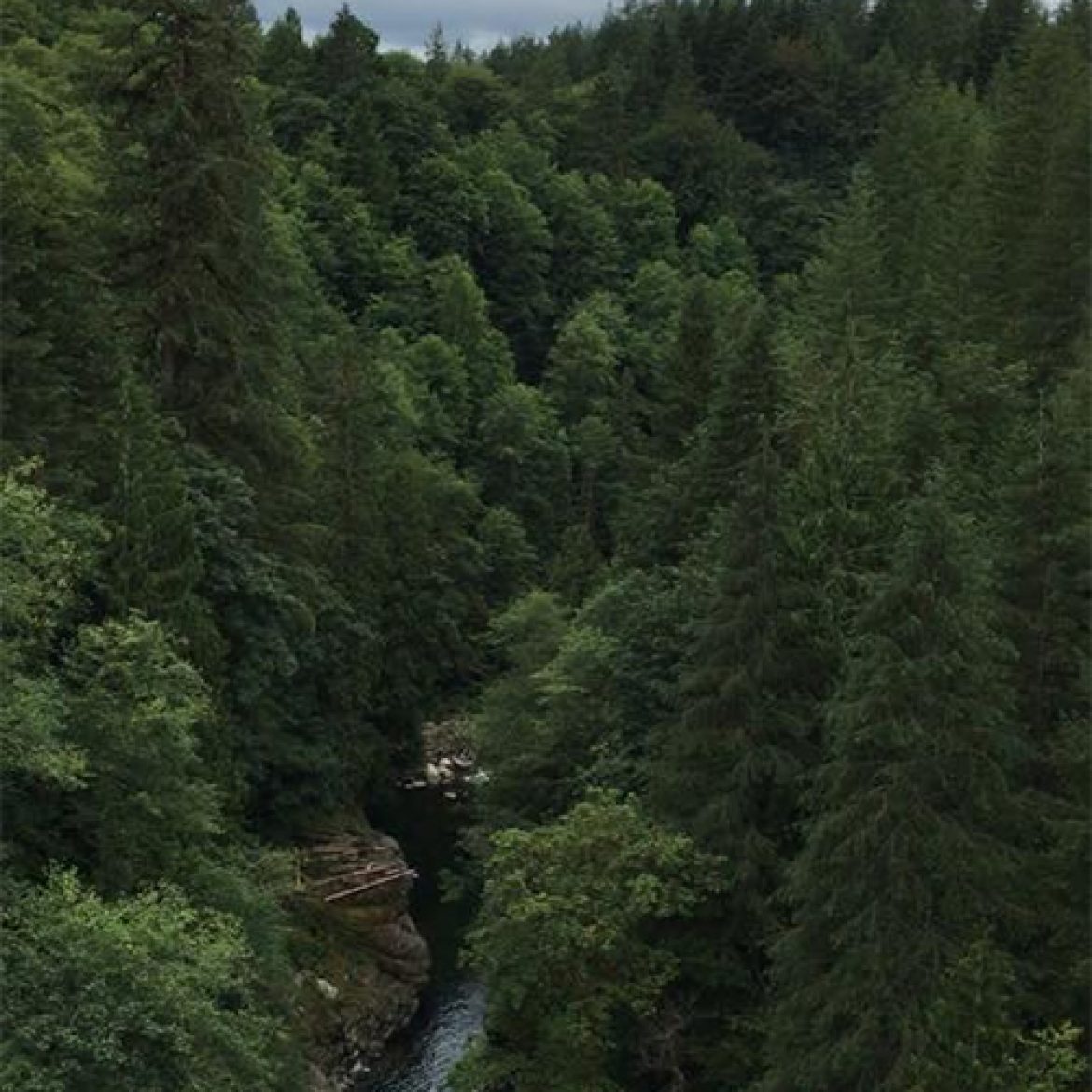 Zipline_X_Go_Cross_A_Canyon_Today!