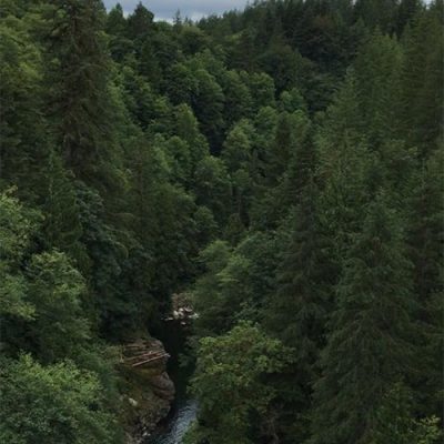 Zipline_X_Go_Cross_A_Canyon_Today!