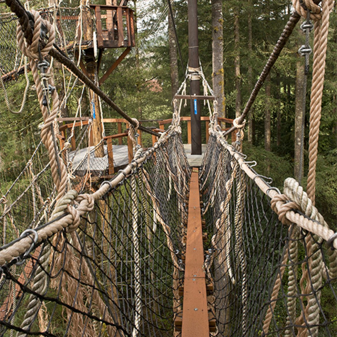 Zipline_X_Our_Course_Is_A_Dynamic_Adventure_Of_A_Lifetime